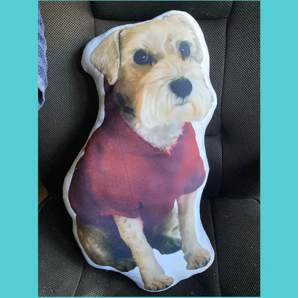 Lemons - Almohada personalazida de mascotas con una foto