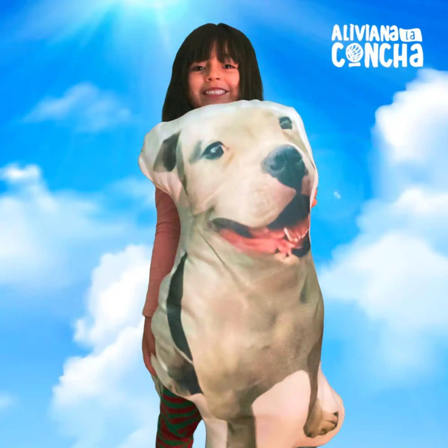 Pack Galería Eterna